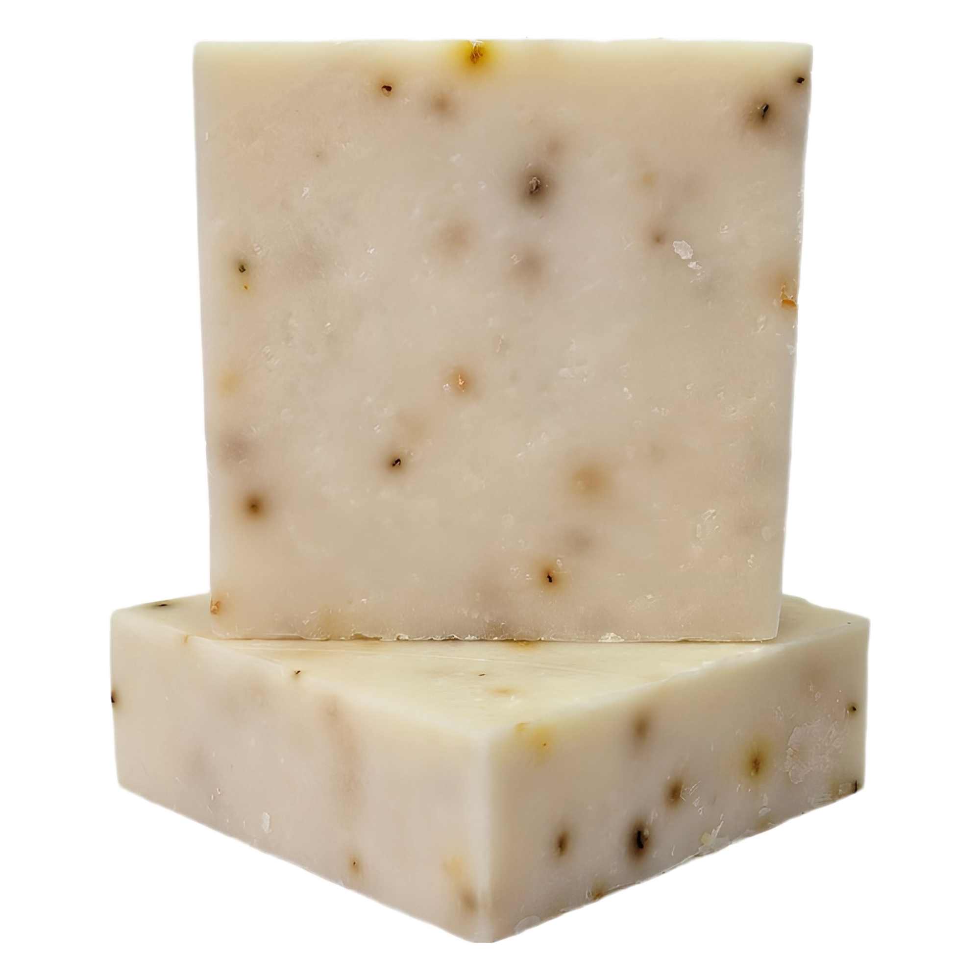 9e9f0437-0b95-4e2f-a50d-e7ce1f0eaa3d