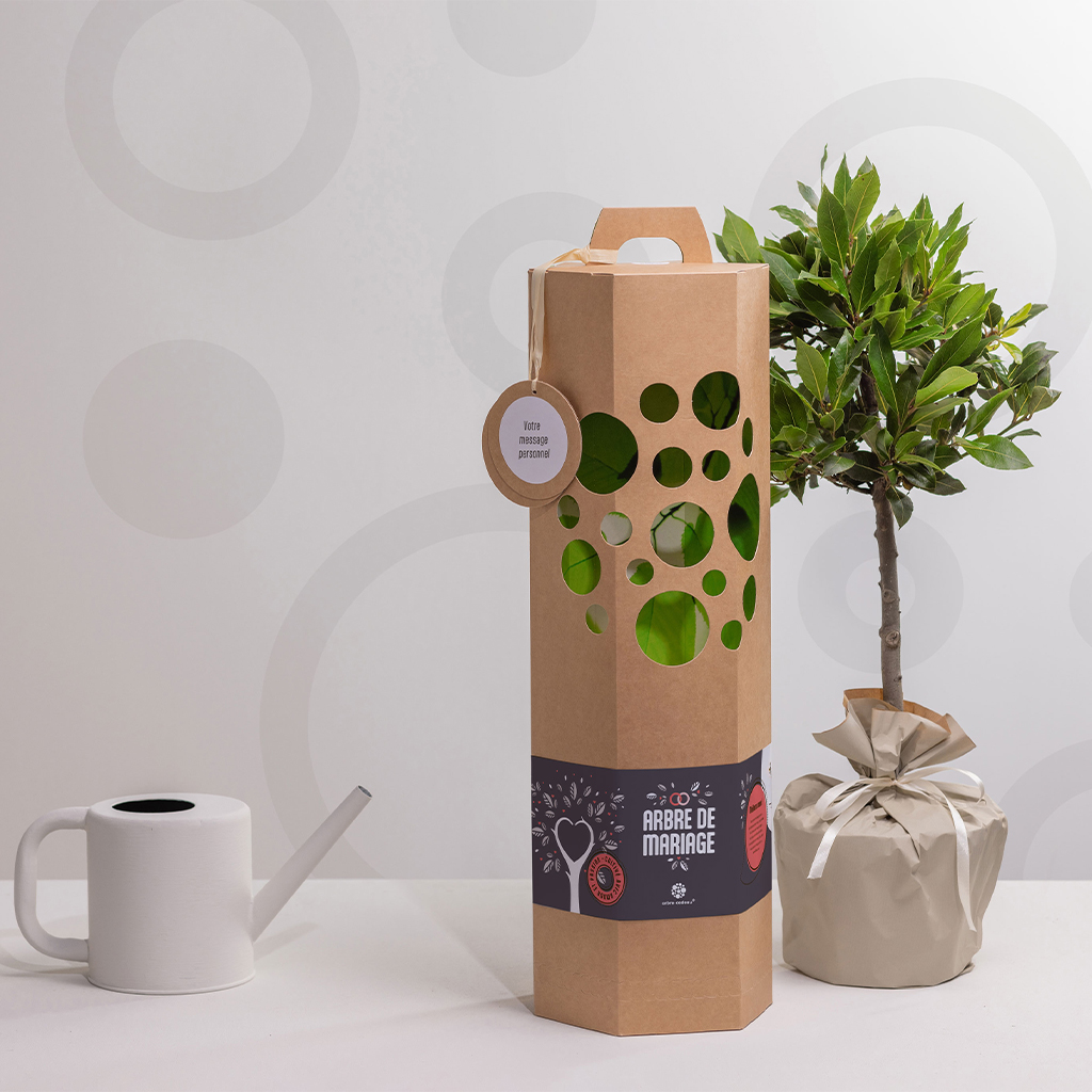 Arbre-Mariage-Laurier